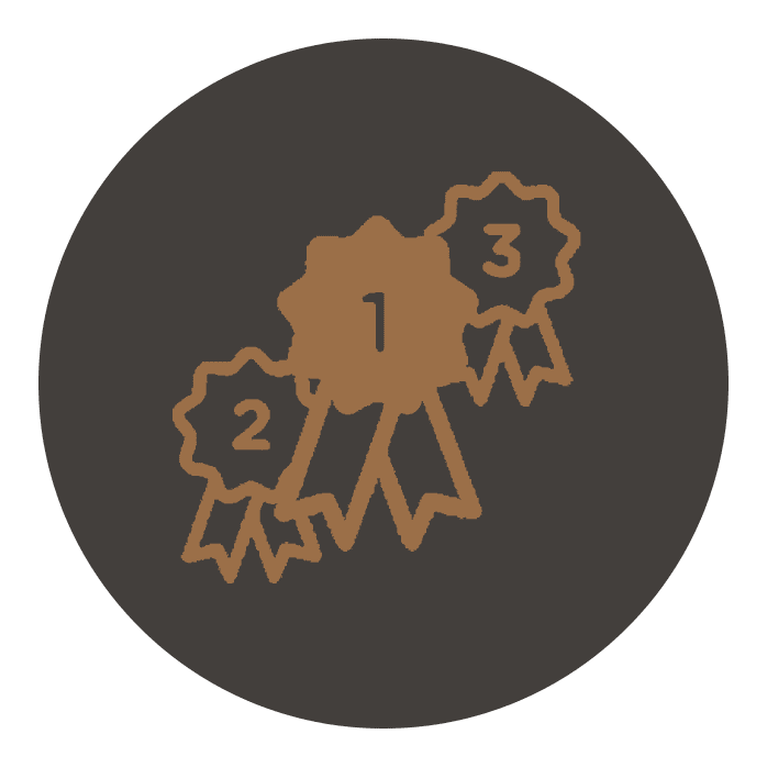 Bronze competition badges symbolizing first, second, and third place achievements on a dark background.