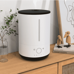 Modern ultrasonic humidifier with elegant plant decor and charming wooden accessories for a stylish home.